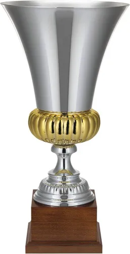 Кубок Erfolg